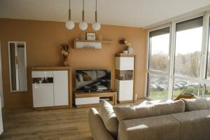 a living room with a couch and a television at Miadora apartments - Apartma Rusalka in Moravske Toplice