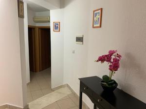 Gallery image of Casa Ziu Juanne in Orosei