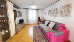 Televízia a/alebo spoločenská miestnosť v ubytovaní Le Rondini di Casa Bernardi, sole e natura sulle Dolomiti Wi-Fi PetFriendly