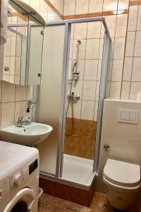 La salle de bains est pourvue d'une douche, de toilettes et d'un lavabo. dans l'établissement amz AP 1, à Jadranovo