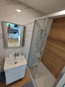 a bathroom with a sink and a shower with a mirror at Holiday house Hona Lux in Velike Lašče