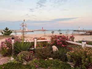 un jardín de flores en la playa con un faro en Gangneung Mediterranean Pension, en Gangneung