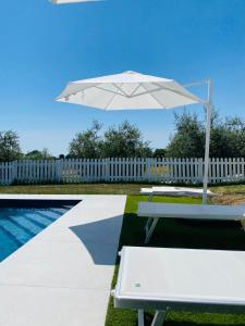 um guarda-chuva branco e um banco ao lado de uma piscina em Olea b&b em Montecosaro
