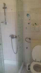 a bathroom with a shower and a toilet at Studio apartman in Jezera
