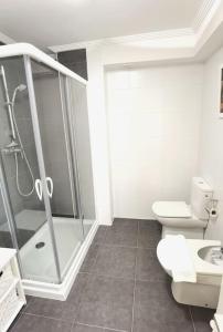a bathroom with a shower and a toilet and a sink at Completo apartamento a un paso de La Concha in Donostia-San Sebastián