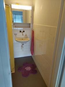 a bathroom with a sink and a mirror and a rug at Kleine Apartment im Zentrum Bern in Bern