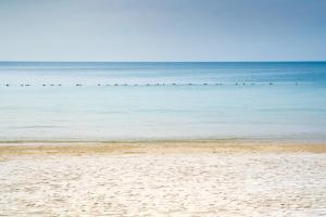 a beach with a group of birds in the water at Diamond Beach Resort in Ko Samed