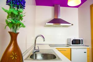 a kitchen with a sink and a vase with purple flowers at Apartamentos 16:9 Suites Almería in Almería