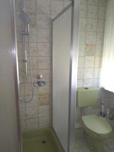 y baño pequeño con ducha y aseo. en Ferienwohnung Küper en Getelo