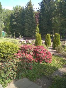 einen Garten mit rosa Blumen und Büschen in einem Park in der Unterkunft Ferienwohnung Küper in Getelo