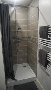 y baño con ducha y cortina de ducha. en Cosy T2 Wifi Parking Proche gare CENTRE VILLE en Saint-Quentin