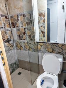 a bathroom with a toilet and a walk in shower at Front Garden Cabin Home with Terrace(Self Check-in) 