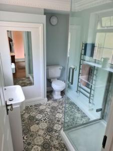 a bathroom with a toilet and a glass shower at Stunning 2 bedroom cottage on the River Wensum in Earlham