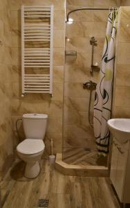 y baño con aseo, ducha y lavamanos. en Noclegi GALESZ, en Świdnica