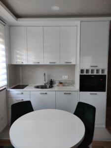 Cuisine ou kitchenette dans l'établissement Apartman Zorica Milanov