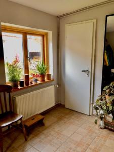 Fotografie z fotogalerie ubytování Gemütliches Studio-Apartment in Ostseenähe - Cosy Wulfi v destinaci Probsteierhagen