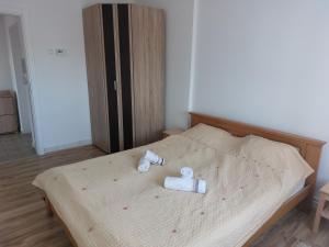 Katil atau katil-katil dalam bilik di Apartman Centar