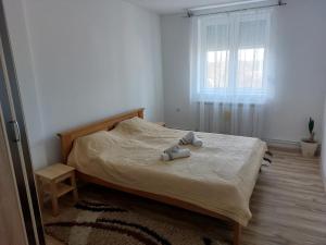 Katil atau katil-katil dalam bilik di Apartman Centar