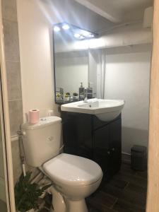 W łazience znajduje się toaleta, umywalka i lustro. w obiekcie Studio individuel près de Paris w mieście Mantes-la-Jolie