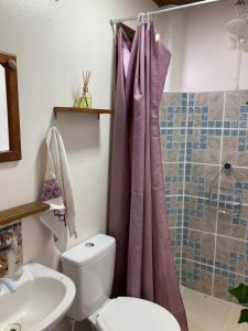 a bathroom with a toilet and a sink and a shower at SURF PARADISE apartamentos in Pinheira