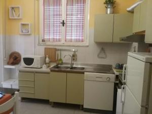 a small kitchen with a sink and a refrigerator at Mascagni Rooms in Florence