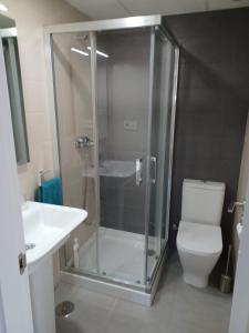 W łazience znajduje się prysznic, toaleta i umywalka. w obiekcie Atico Costa Doñana w mieście Sanlúcar de Barrameda