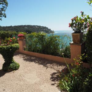 a garden with flowers and a view of the ocean at Villa la Felicite in Saint-Jean-Cap-Ferrat