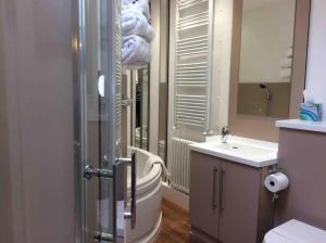 uma casa de banho com um WC, um lavatório e um espelho. em Tre Mynach Barmouth em Barmouth