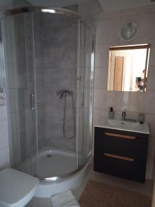 Kúpeľňa v ubytovaní Apartament 6 osobowy Pasternik
