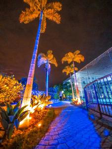 a sidewalk with palm trees and lights at night at Apartamento mobiliado e aconchegante in Rio de Janeiro