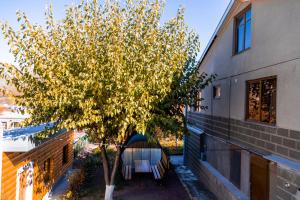 un arbre dans une cour à côté d'un bâtiment dans l'établissement Hayi Tun Guest House, à Goris