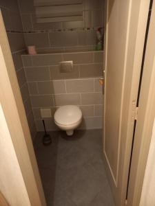 a small bathroom with a toilet in a room at gite St anne in Fresnes-en-Woëvre