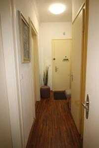 a hallway with a door and a plant in a room at Apartmán Pražská in Jablonec nad Nisou