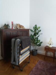 een handdoekenrek in een woonkamer met een plant bij Apartmán Pražská in Jablonec nad Nisou