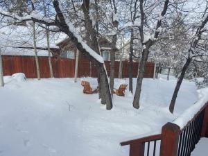 un patio cubierto de nieve con árboles y una valla en CUSTOM SINGLE STORY CABIN WITH JACUZZI POOL TABLE & BIG GAME ROOM WITH ARCADE games, en Big Bear Lake