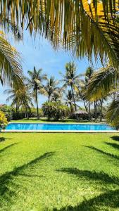 a large swimming pool with palm trees and grass at Casa Maya private villa on the beach in Puerto Escondido