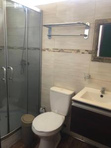 ein Bad mit einem WC, einer Dusche und einem Waschbecken in der Unterkunft Gran escape! Santa Ana in Cuchilla Alta