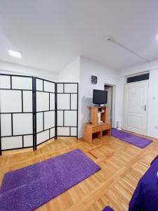 a living room with purple rugs and a tv at Apartman Lavanda Banja Koviljaca in Banja Koviljača