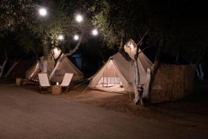 un grupo de tiendas de campaña sentadas bajo los árboles por la noche en Camping Chania en Kato Daratso