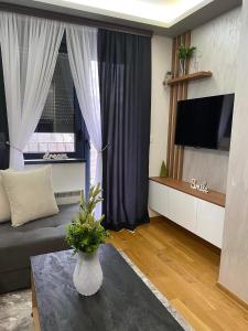 sala de estar con sofá y TV en Apartman Sivcevic Titova VIla en Palisat