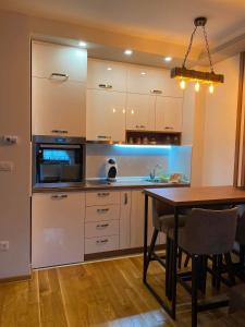 Kuchyň nebo kuchyňský kout v ubytování Apartman Sivcevic Titova VIla