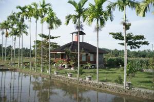 una casa con palmeras frente a un río en Orangutan Orchard Bungalow, en Timbanglawang