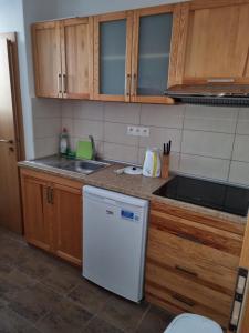 una pequeña cocina con fregadero y lavavajillas en Penzión Oponice en Oponice