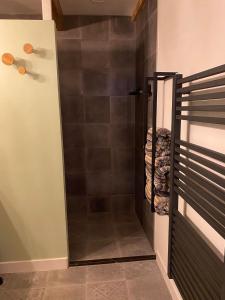 a shower with a glass door in a bathroom at B&B Stoet & Berre Geheel privé 1 - 4 pers in Assen