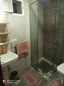 a bathroom with a shower with a sink and a toilet at The Oxygen 7 in Tetouan
