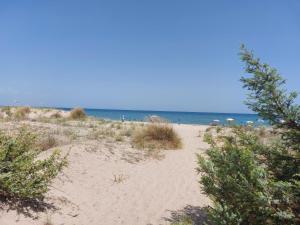 a sandy beach with trees and the ocean in the background at Agriturismo La Stornara in Ginosa Marina