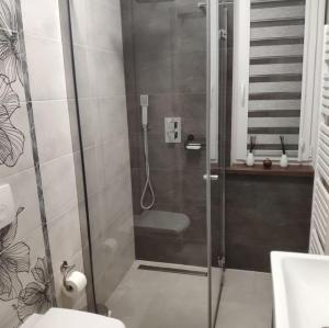 a bathroom with a shower with a toilet and a sink at Dom nad rzeką in Nowy Gierałtów +12 photos