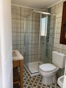 a bathroom with a toilet and a glass shower at Mountain House departamentos de montaña in Villa Meliquina