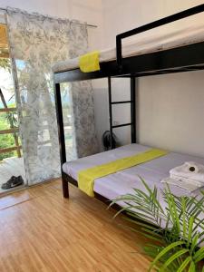 ein Schlafzimmer mit einem Etagenbett und einer Pflanze in der Unterkunft Casita Lodge Kubo in San Juan