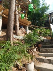 un jardín con plantas y escaleras frente a una casa en Casita Lodge Kubo, en San Juan